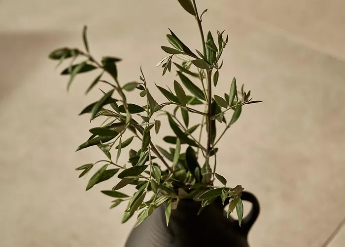 Beachfront Alassa With Private Pools Villa *